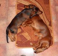 /album/spolecne-foto/dscn0852-2-jpg/